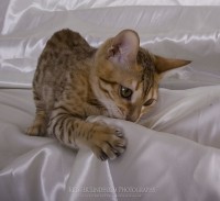Vilken dag! - IMG 4896
