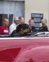 Cruising Falun -09 - MG 6153