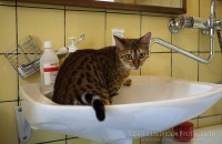 Greta växer som individ? - MG 6926