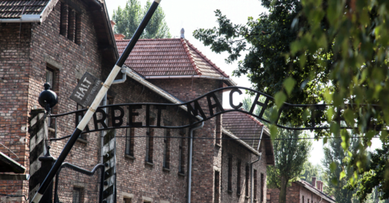 Förneka aldrig förintelsen, här är 10 bevis från Auschwitz.