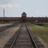 Förneka aldrig förintelsen, här är 10 bevis från Auschwitz.
