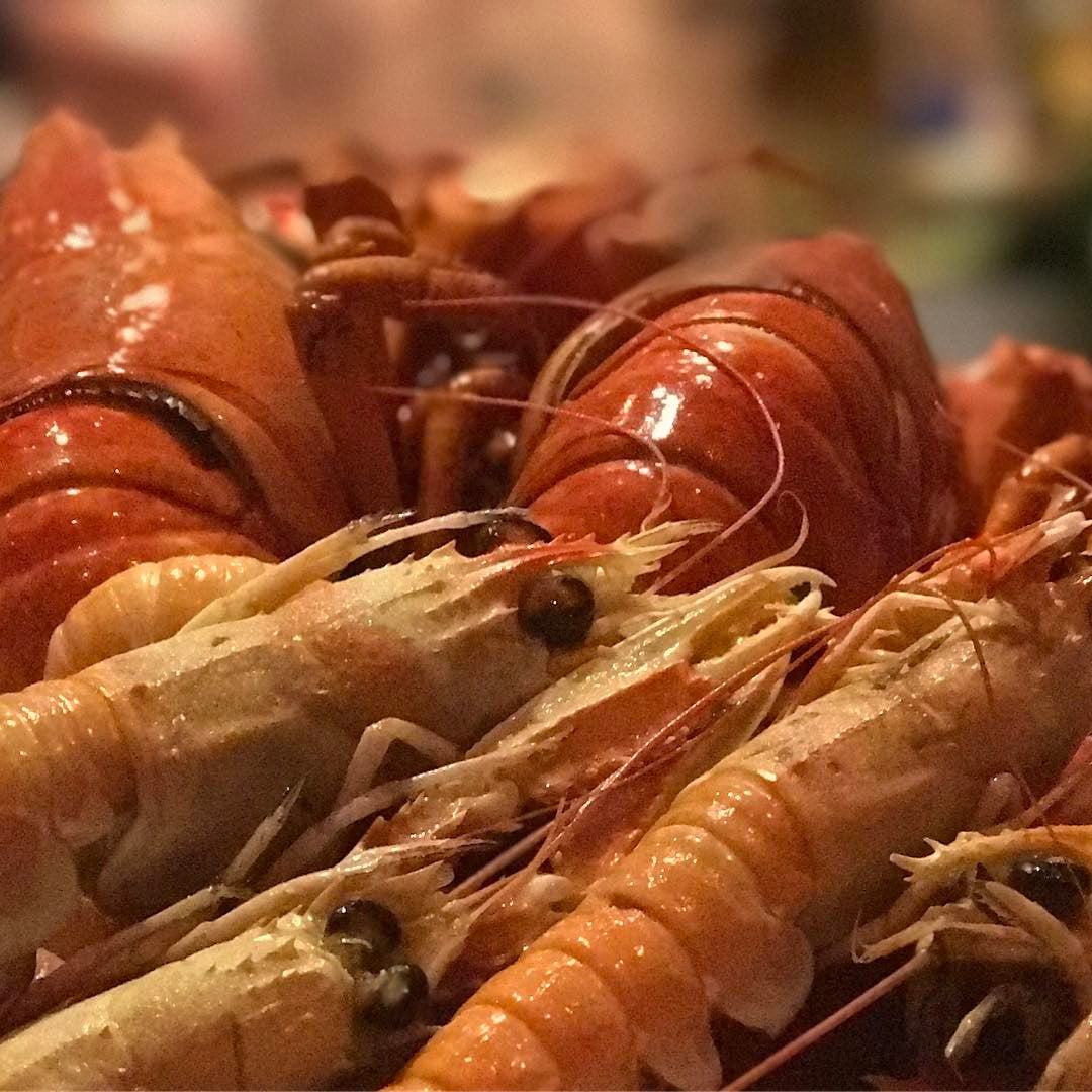 Inte så tokigt med lite kokta sjöodjur. - 1486161300