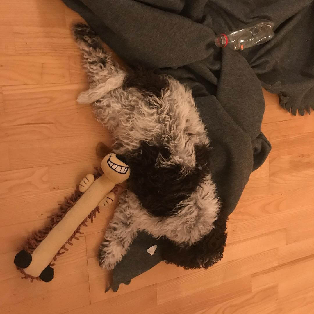 Sleeping. Frog-style