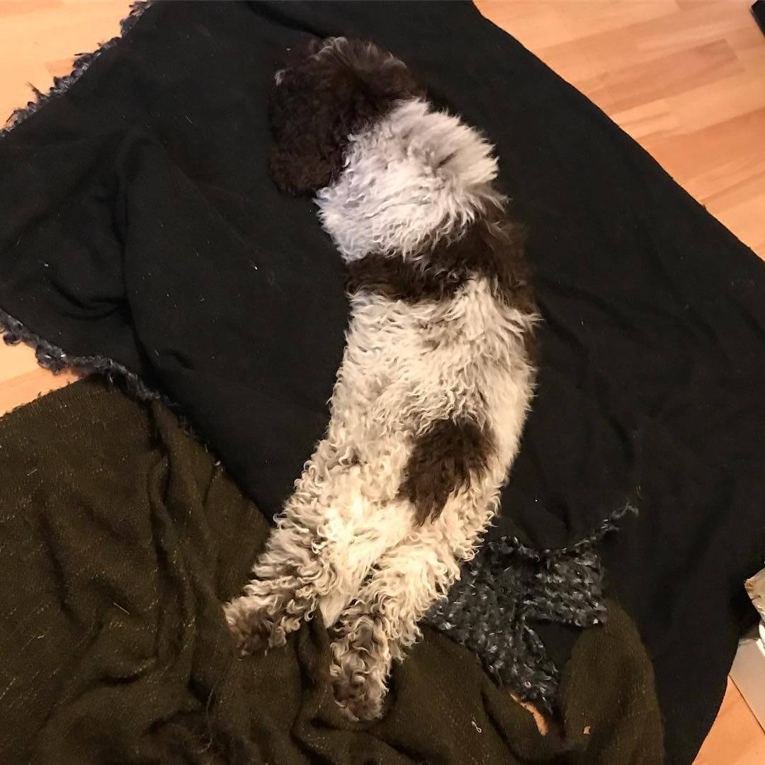 Sleep time. Rabbit style Sleep time. Rabbit style