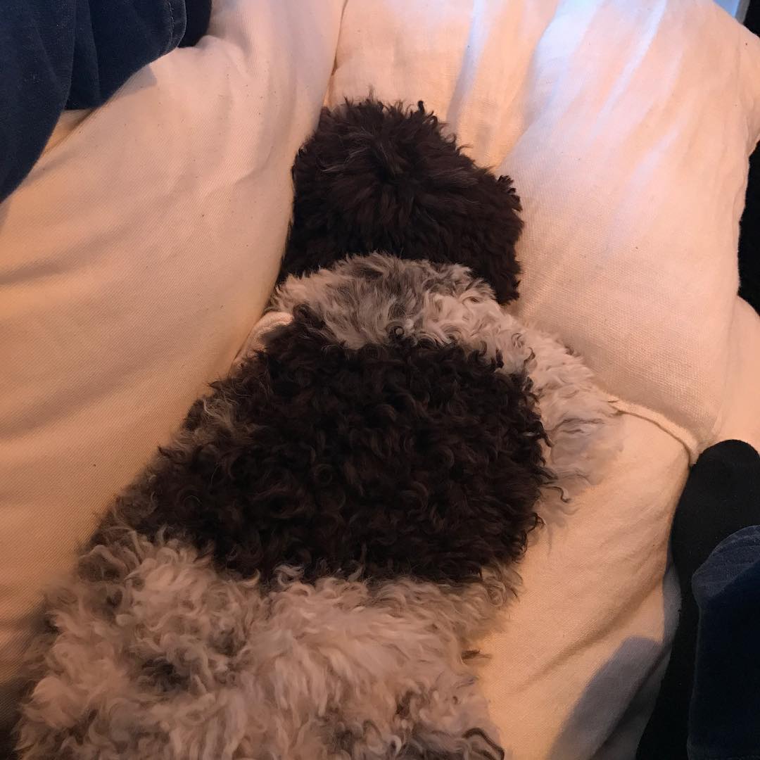 No one can sleep like me No one can sleep like me