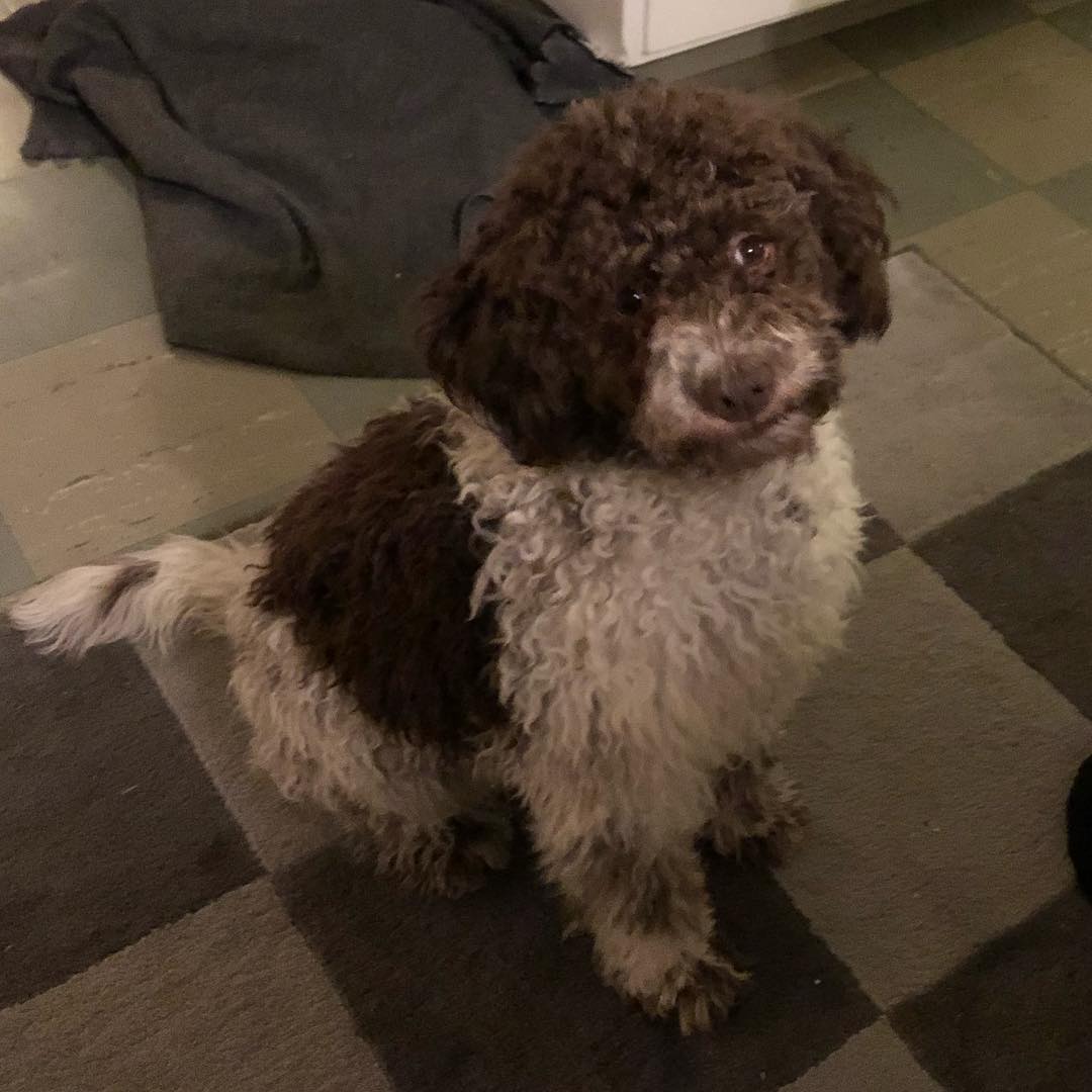 This is me after 4 hours home alone. No problem This is me after 4 hours home alone. No problem