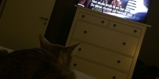 She's watching The Mentalist. Do not disturb